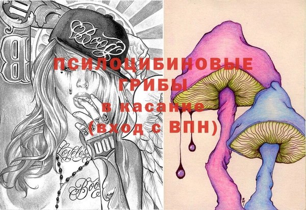 PSILOCYBIN Арсеньев